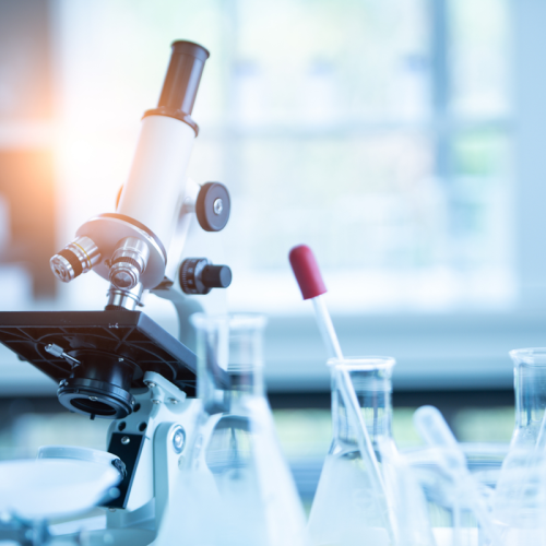 scopri-il-nuovo-sito-960-960-px-1920-960-px-1920-1280-px